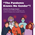 A Gender Fiscal Budget Analysis: The Government of Kosovo’s Response to the COVID-19 Pandemic from a Gender Perspective 