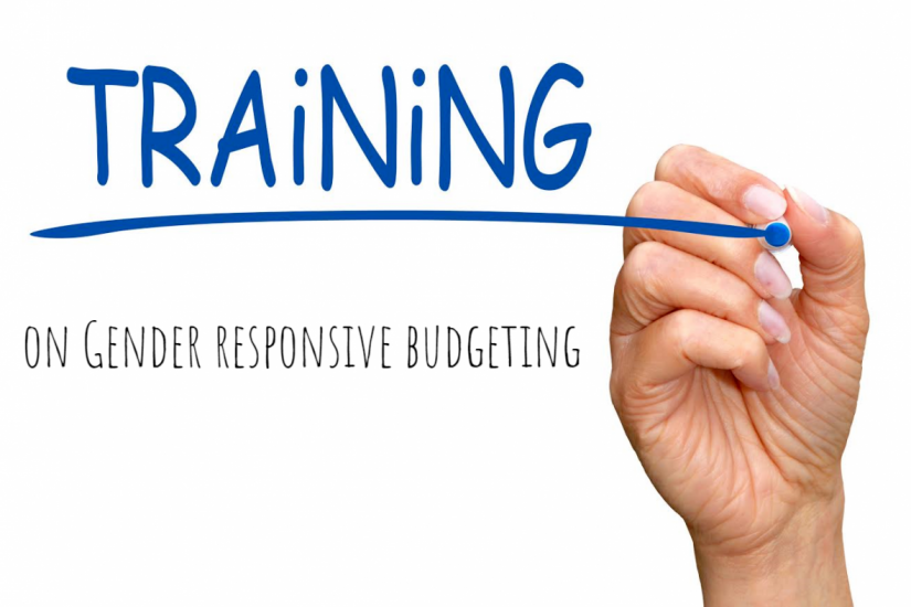 Request for Applications for Capacity Building in Gender Responsive Budgeting by the Gender Budget Watchdog Network