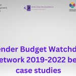 Gender Budget Watchdog Network 2019-2022 best case studies