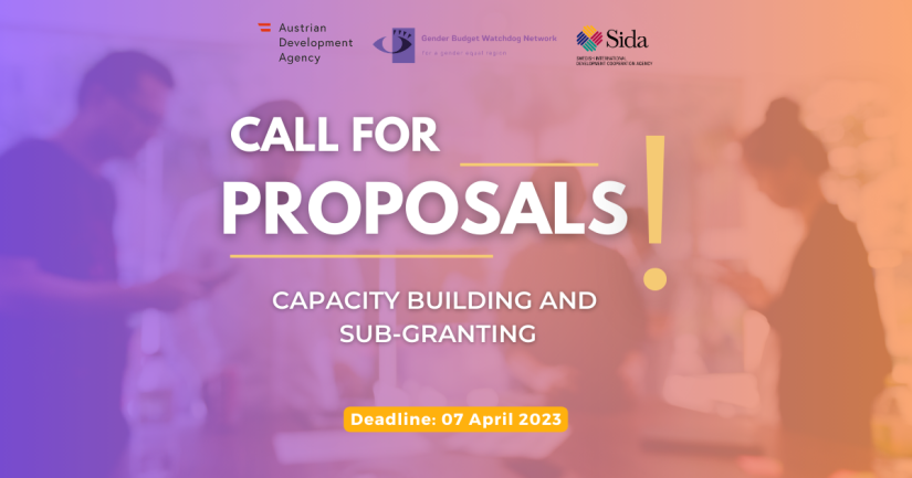 Public Call for Applications for Capacity Building and Sub-Granting in Gender Responsive Budgeting and resilience response