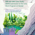 GRB and DRR Case Study - GBWN Submission to the Lima Work Program on Gender